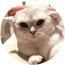 Kiu Poon profile picture